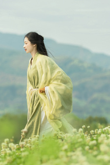 芭比动画